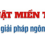 dichthuatviethc is swapping clothes online from 