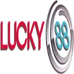 nhacailucky88horse is swapping clothes online from 