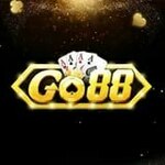 newgo88livee is swapping clothes online from 