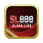 sl888life is swapping clothes online from 