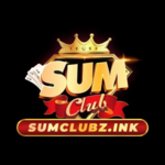sumclubzink is swapping clothes online from 
