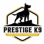 Prestige K9 is swapping clothes online from 