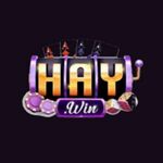 haywindecom is swapping clothes online from 