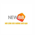 new88diy is swapping clothes online from 