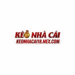 knc18mexcom is swapping clothes online from 