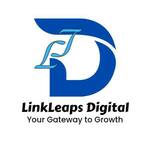 LinkLeaps Digital is swapping clothes online from New York, New York