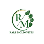 Rare Moldavites is swapping clothes online from 