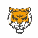 dmtigerexch is swapping clothes online from 