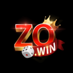 zowinitcom is swapping clothes online from 