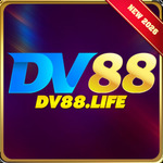 dv88life is swapping clothes online from 