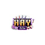 Haywin is swapping clothes online from 
