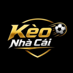 Kèo Nhà Cái MBA is swapping clothes online from 
