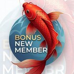 bonusmember is swapping clothes online from 