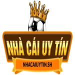 nhacaiuytinsh2 is swapping clothes online from 