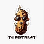 theburntpeanutmerch is swapping clothes online from 