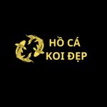 Hồ Cá Koi Đẹp is swapping clothes online from 