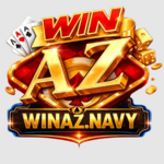 winaznavy is swapping clothes online from 