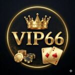 nhà cái vip66 is swapping clothes online from 