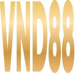 VND88 is swapping clothes online from 