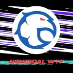nowgoal wtf is swapping clothes online from 