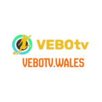 VEBOTV is swapping clothes online from 