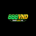 888vndnl is swapping clothes online from 