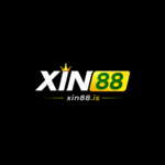 xin88is is swapping clothes online from 