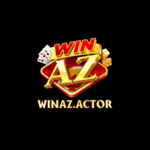 winazactor is swapping clothes online from 