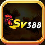 sv388kim is swapping clothes online from 
