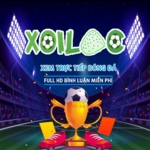 xoilackvl is swapping clothes online from 