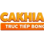 cakhiatvwiki9 is swapping clothes online from 