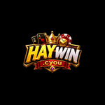 haywincyou is swapping clothes online from 