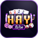 haywin7 is swapping clothes online from 
