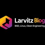 larvitzblog is swapping clothes online from 
