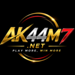 ak44m7net is swapping clothes online from 