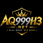 aq999h3net is swapping clothes online from 
