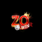 zowinro is swapping clothes online from 