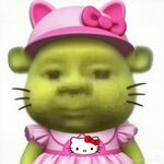 sanobeh297 is swapping clothes online from 