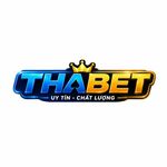 thabethorse is swapping clothes online from 