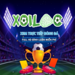 xoilacvvb is swapping clothes online from 
