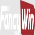 GoFancyWin is swapping clothes online from 