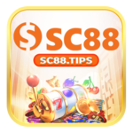 sc888cx is swapping clothes online from 
