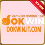 ookwinitcom is swapping clothes online from 