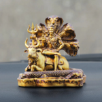 lordshivaidol is swapping clothes online from Gurgaon, Haryana