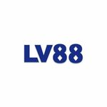 lv88lycom is swapping clothes online from 