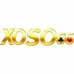 cxoso66com is swapping clothes online from 