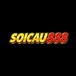 soicau888dev is swapping clothes online from 