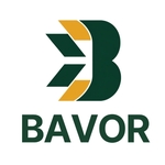 BAVOR CONSULTING is swapping clothes online from 