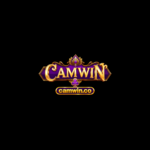 camwinco is swapping clothes online from 