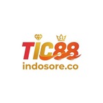 TIC88 is swapping clothes online from 
